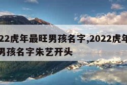 2022虎年最旺男孩名字,2022虎年最旺男孩名字朱艺开头