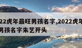 2022虎年最旺男孩名字,2022虎年最旺男孩名字朱艺开头