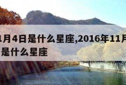 11月4日是什么星座,2016年11月4日是什么星座