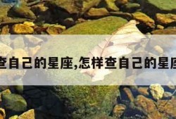 怎样查自己的星座,怎样查自己的星座星盘