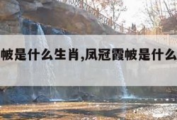 凤冠霞帔是什么生肖,凤冠霞帔是什么生肖动物