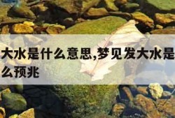 梦见发大水是什么意思,梦见发大水是什么意思有什么预兆