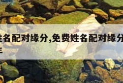 免费姓名配对缘分,免费姓名配对缘分测试98 17年