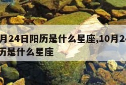 10月24日阳历是什么星座,10月24日公历是什么星座