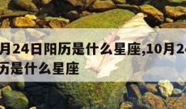 10月24日阳历是什么星座,10月24日公历是什么星座