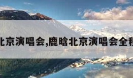 鹿晗北京演唱会,鹿晗北京演唱会全程回放