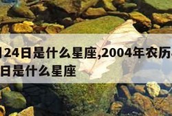 8月24日是什么星座,2004年农历8月24日是什么星座