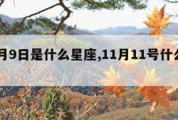 11月9日是什么星座,11月11号什么星座