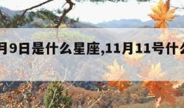 11月9日是什么星座,11月11号什么星座