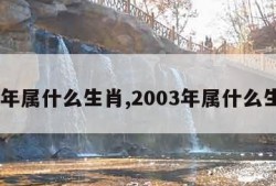 03年属什么生肖,2003年属什么生肖