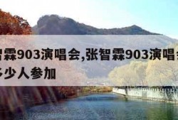 张智霖903演唱会,张智霖903演唱会去了多少人参加