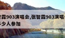 张智霖903演唱会,张智霖903演唱会去了多少人参加