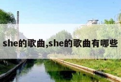 she的歌曲,she的歌曲有哪些