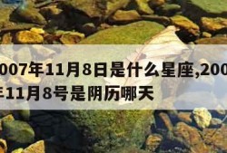 2007年11月8日是什么星座,2007年11月8号是阴历哪天