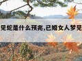 女人梦见蛇是什么预兆,已婚女人梦见蛇是什么预兆