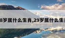 28岁属什么生肖,29岁属什么生肖