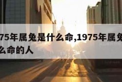 1975年属兔是什么命,1975年属兔是什么命的人