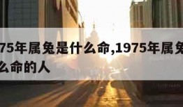 1975年属兔是什么命,1975年属兔是什么命的人