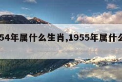 1954年属什么生肖,1955年属什么生肖